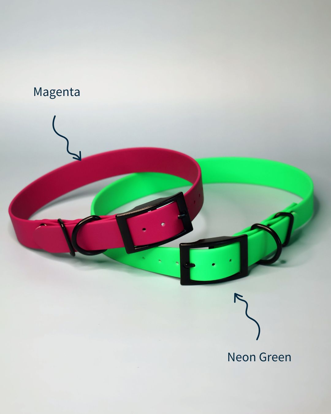 Zgarda foarte rezistenta pentru cainii pe care ii iubim, este din BioThane®