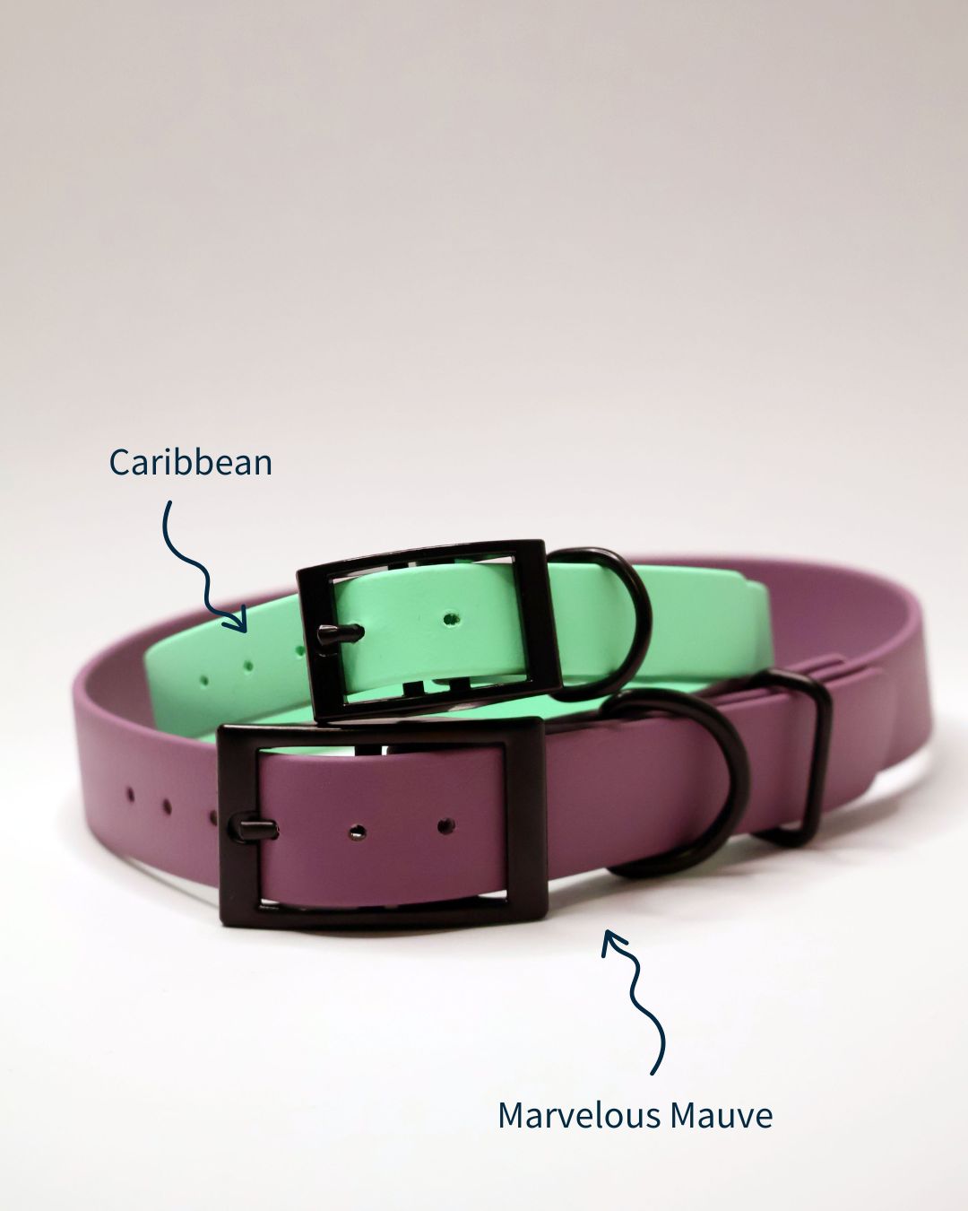 Exemple de culori pentru zgarzile noastre personalizate