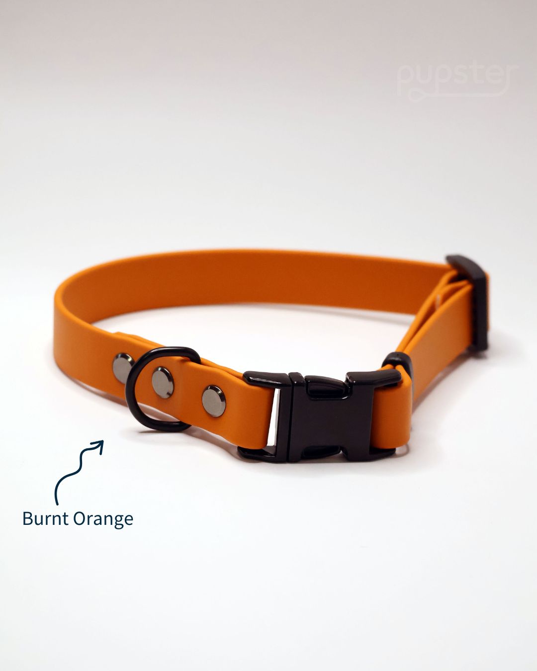 Zgarda personalizata, rezistenta la apa, pentru cateii ce iubesc balaceala