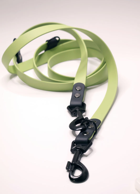 Lesa cu doua carabine, ideala pentru catei de orice talie