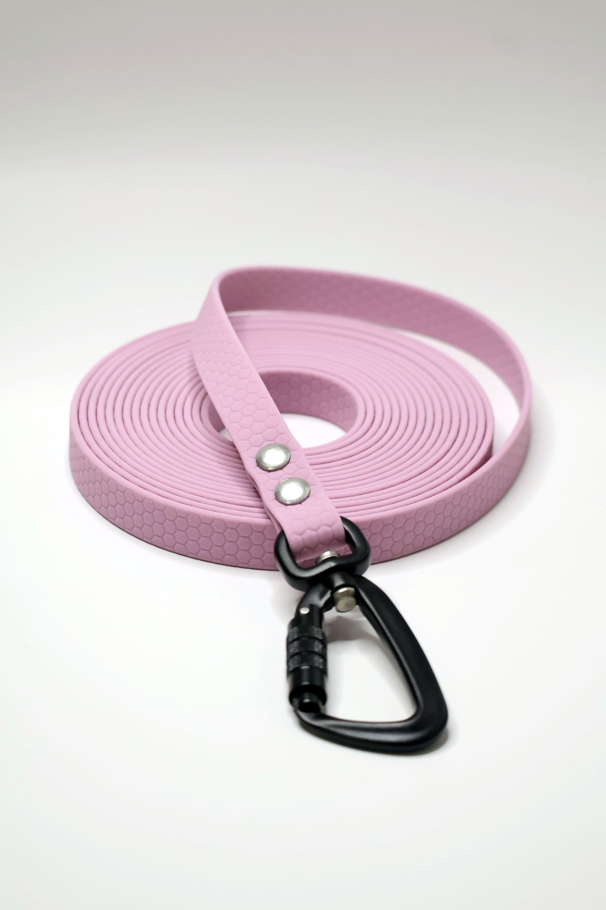 Carabina auto-lock pusa pe o lesa de 5 metri, pentru dresaj