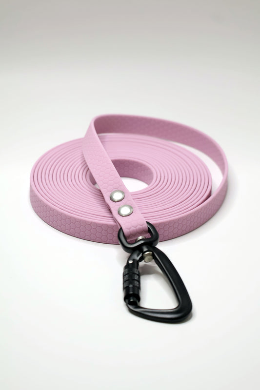 Carabina auto-lock pusa pe o lesa de 5 metri, pentru dresaj