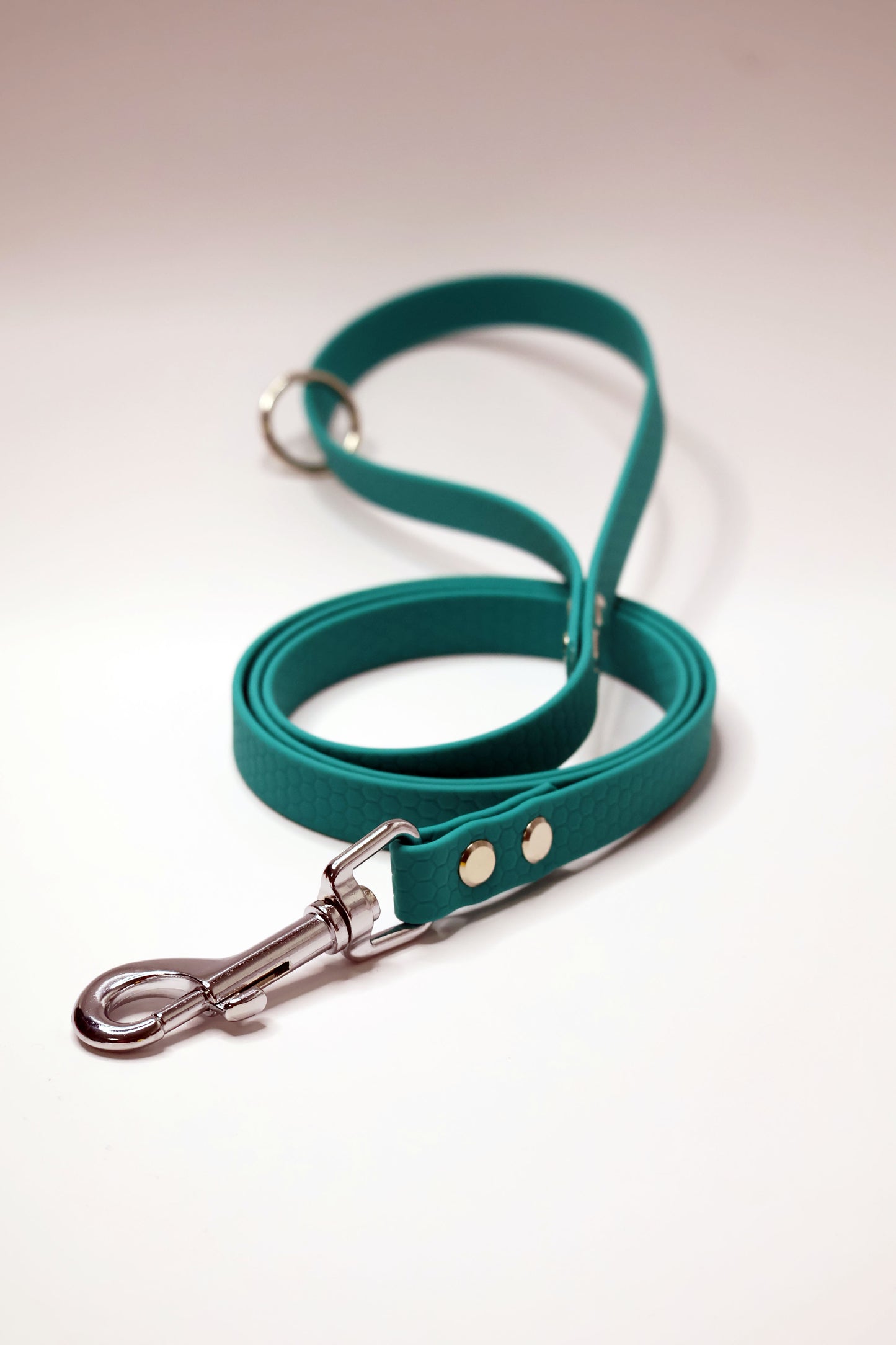 Lesa frumoasa de culoare verde- turcoaz, pentru catei ce se bucura de natura.