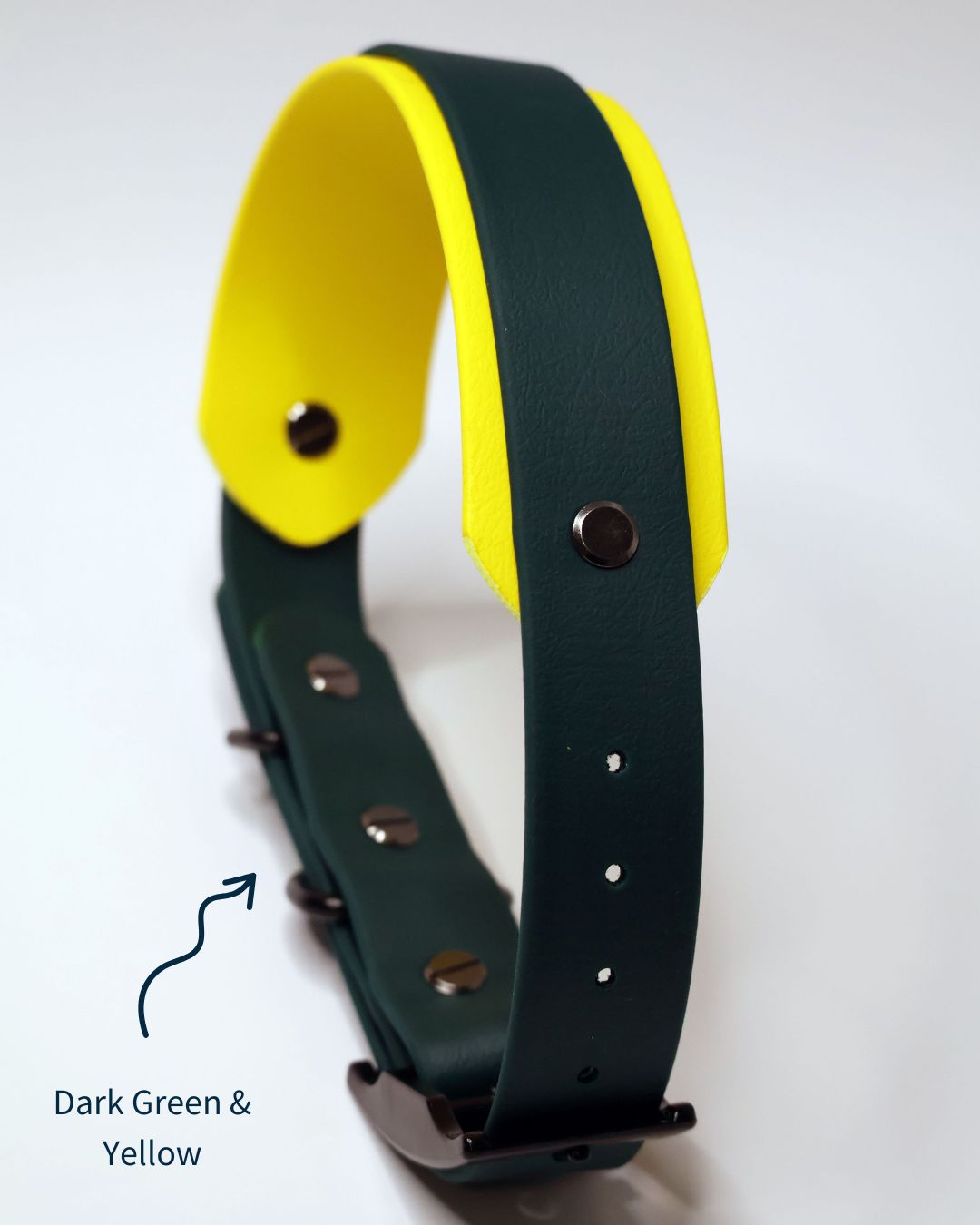 O zgarda frumoasa pentru un caine mediu sau mare