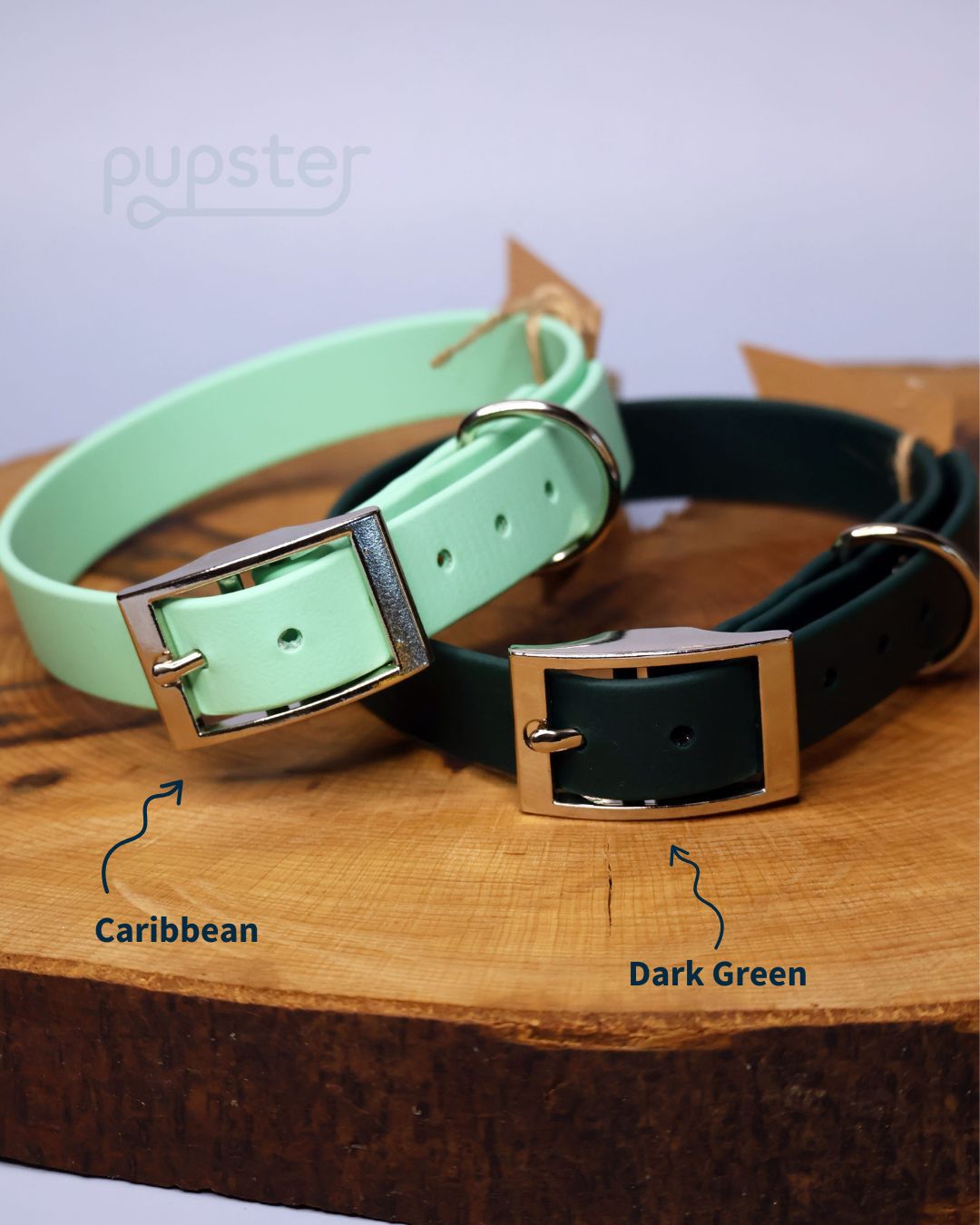 Zgarzi viu colorate pe o bucata de lemn