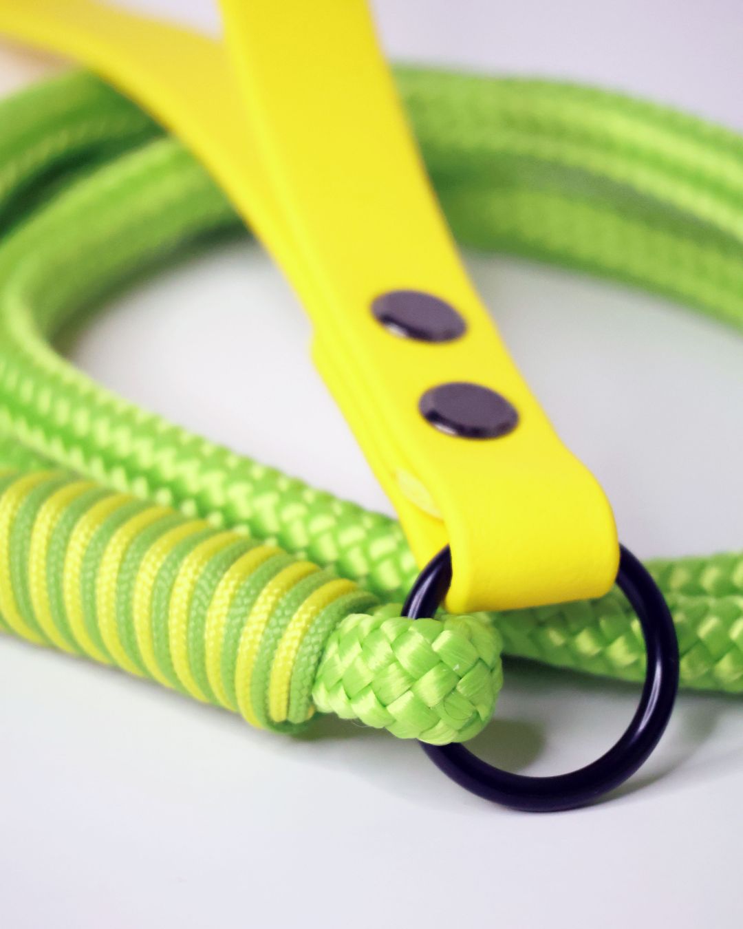 zoom pe finisajele lesei pentru caini din sfoara verde si accesorii metalice pe negru