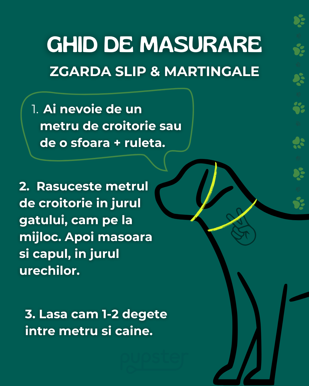 Ghid de masurare pentru zgarda slip si pentru zgarda martingale