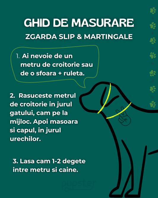 Ghid de masurare pentru zgarda slip si pentru zgarda martingale