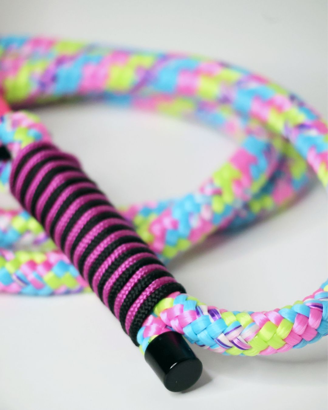 zoom pe detaliile lesei pentru caini